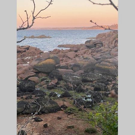 Maison Cote De Granit Rose Avec Spa Perros-Guirec Exteriör bild