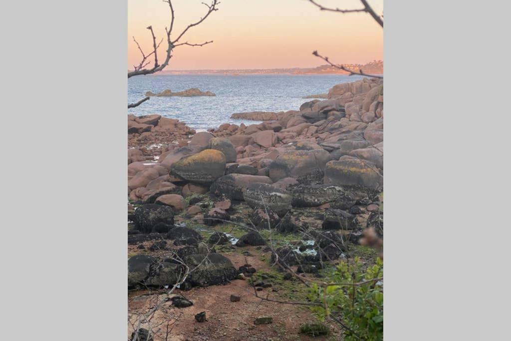 Maison Cote De Granit Rose Avec Spa Perros-Guirec Exteriör bild